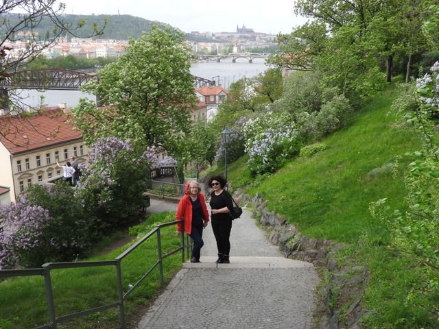 dscn5593.jpg
