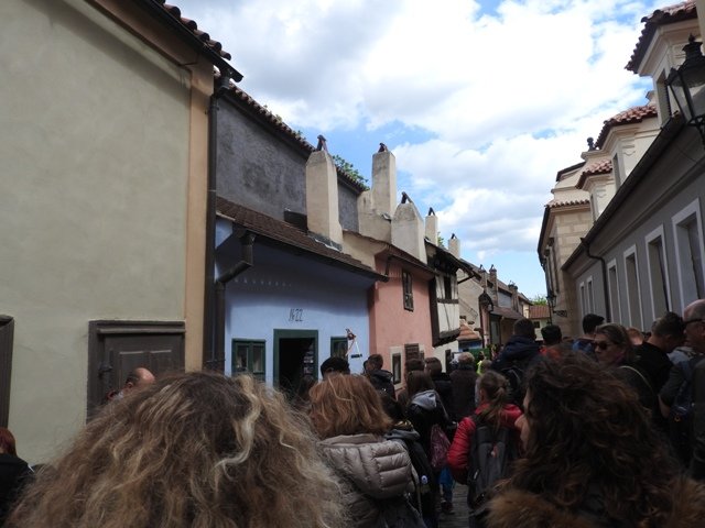 dscn5726.jpg