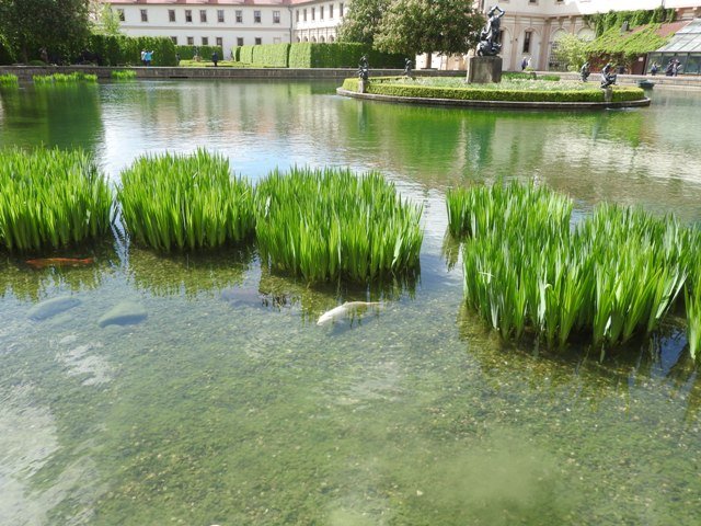 dscn5749.jpg
