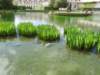 dscn5749_small.jpg