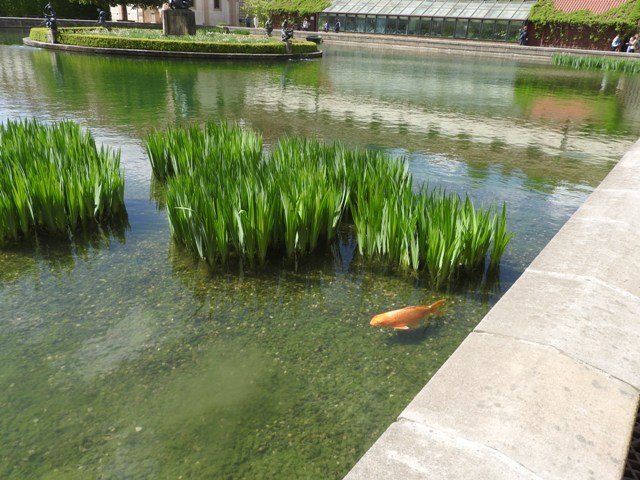 dscn5750.jpg