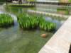 dscn5750_small.jpg