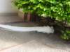 dscn5753_small.jpg