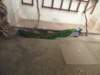dscn5754_small.jpg