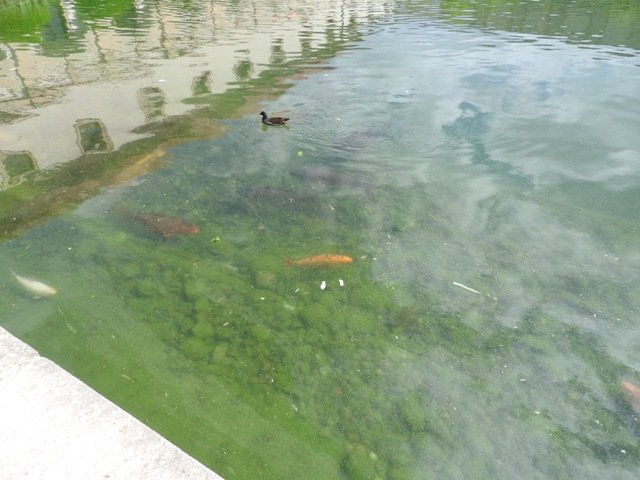 dscn5755.jpg