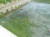 dscn5755_small.jpg