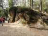 dscn5825_small.jpg
