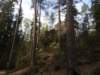 dscn5832_small.jpg