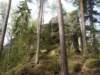 dscn5833_small.jpg
