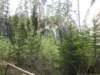 dscn5840_small.jpg
