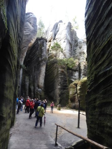 dscn5852.jpg