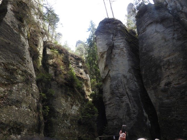 dscn5856.jpg