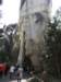 dscn5860_small.jpg