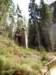dscn5864_small.jpg