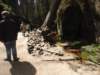dscn5866_small.jpg