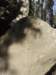 dscn5868_small.jpg