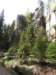 dscn5870_small.jpg
