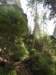 dscn5874_small.jpg