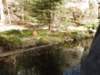 dscn5891_small.jpg