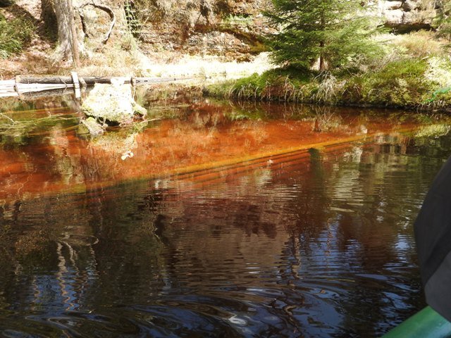 dscn5892.jpg