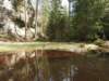 dscn5895_small.jpg