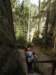 dscn5903_small.jpg