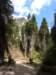 dscn5911_small.jpg
