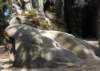 dscn5916_small.jpg