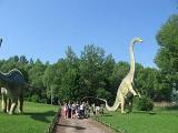 IMG 0282