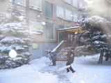 IMG 0111