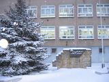 IMG 0114