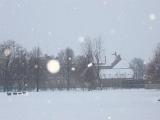 IMG 0122