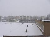 IMG 0125