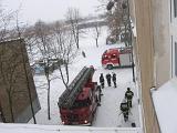 IMG 0139