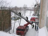 IMG 0141