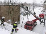 IMG 0142