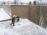 IMG 0152