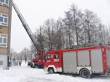 IMG 0159