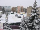 IMG 0170