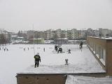 IMG 0175