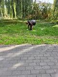 image000009