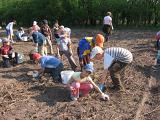IMG 6862