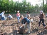 IMG 6865