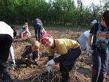IMG 6869