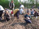 IMG 6870