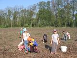 IMG 6871