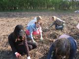 IMG 6873