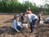 IMG 6874