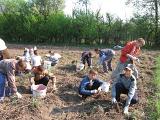 IMG 6879
