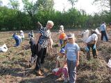 IMG 6881